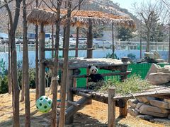 -西霞口神雕山野生动物世界