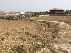 -上海都市菜园