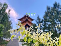 -迎泽公园