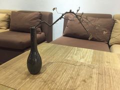 大堂-柴务处·柴犬主题狗咖