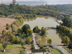 -张坝桂圆林公园