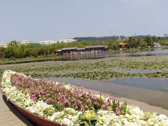 -洛龙公园