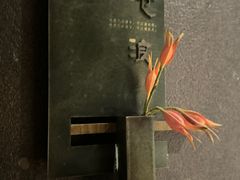 -巧庆楼·茶膳