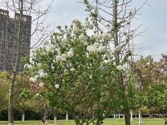 -院士公园