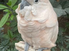 -南宫五洲植物乐园