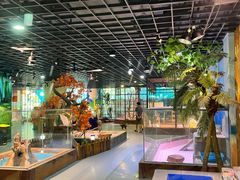 -顺德南宏海立方海洋公园