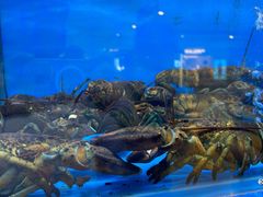 -大头椰·椰子鸡火锅(南宁万象城店)