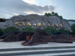 -北京西山国家森林公园