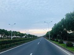 -上海海湾国家森林公园