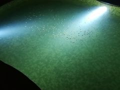 -长白山聚龙火山温泉