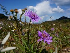 -白草畔自然风景区