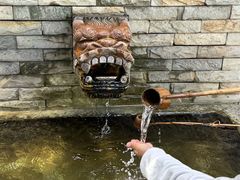 -灵谷景区