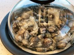 -港畔赶海蒸汽海鲜烧烤自助(仙螺岛店)