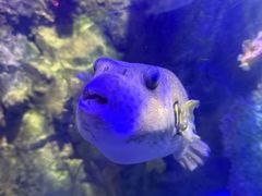 -太平洋海底世界