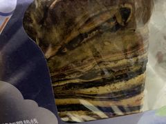 -爸爸糖吐司面包(南京奥体店)