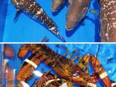 -四川小胡子海鲜(丁村万人海鲜广场店)