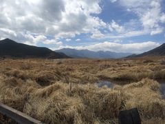 -泸沽湖国家级风景名胜区走婚桥