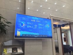 -碧莲盛·不剃发植发