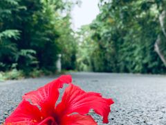 -华侨城湿地公园