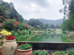 -深圳仙湖植物园