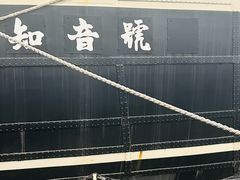 -武汉知音号