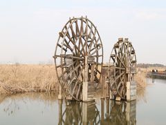 -宁波杭州湾国家湿地公园
