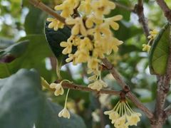 -白云山索道-售票处