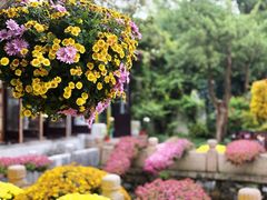 -惠山古镇·寄畅园