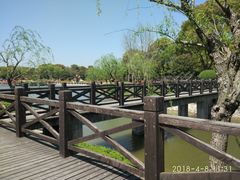 -上海鲜花港