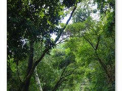 -白云山风景名胜区