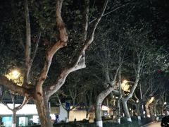 -南京钟山宾馆(江苏省会议中心)