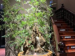 -金狮麟·新豫菜(杏石口路店)