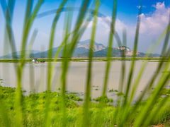 -鄱阳湖国家湿地公园