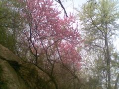 -封龙山风景区
