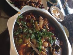 -都江堰石锅鱼