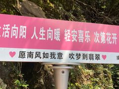 -黄山翡翠谷景区