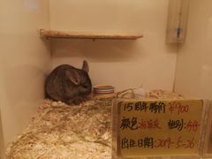 -龙猫仔乐园(惠福东路店)