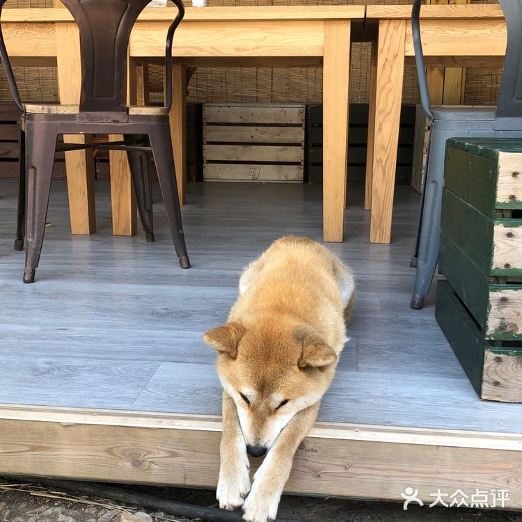 柴米油盐酱醋茶 琴棋书画诗酒花