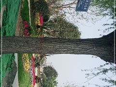 -沙颍河公园
