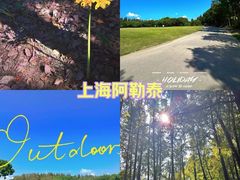 -上海滨江森林公园