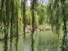-济南大明湖景区
