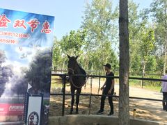 -合肥滨湖国家森林公园