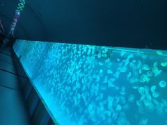 -多彩贵州城极地海洋世界