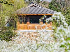 -中国茶叶博物馆(双峰馆区)