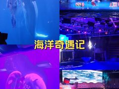 -大连圣亚海洋世界