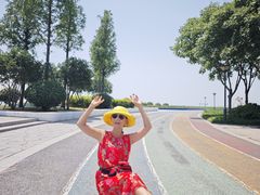 -贡湖湾湿地公园