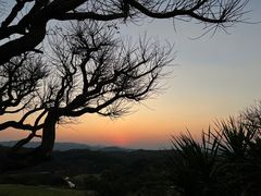 -勐巴拉云顶餐厅