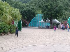 -东部华侨城
