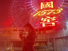 -星城之眼摩天轮