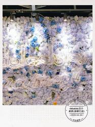 -doladola(徐家汇店)
